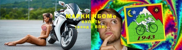 Альфа ПВП Нефтекумск