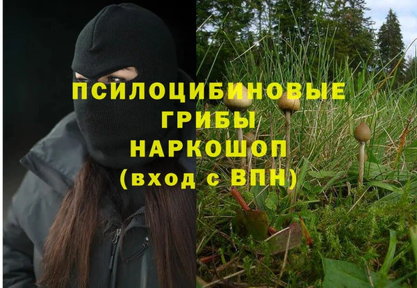 apvp Новодвинск