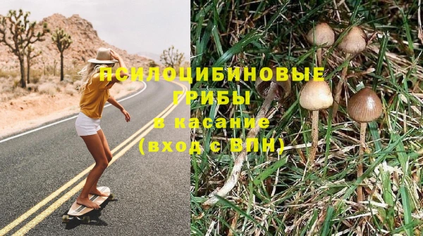 apvp Новодвинск