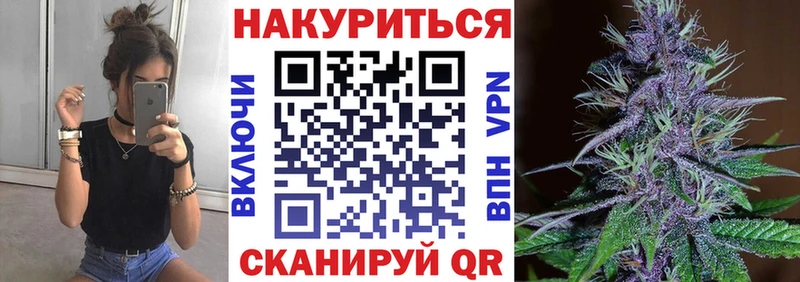 купить закладку  Новоржев  МАРИХУАНА семена 